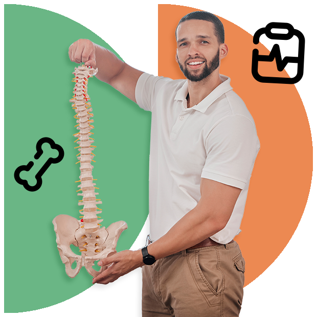 A man holding a spinal cord replica